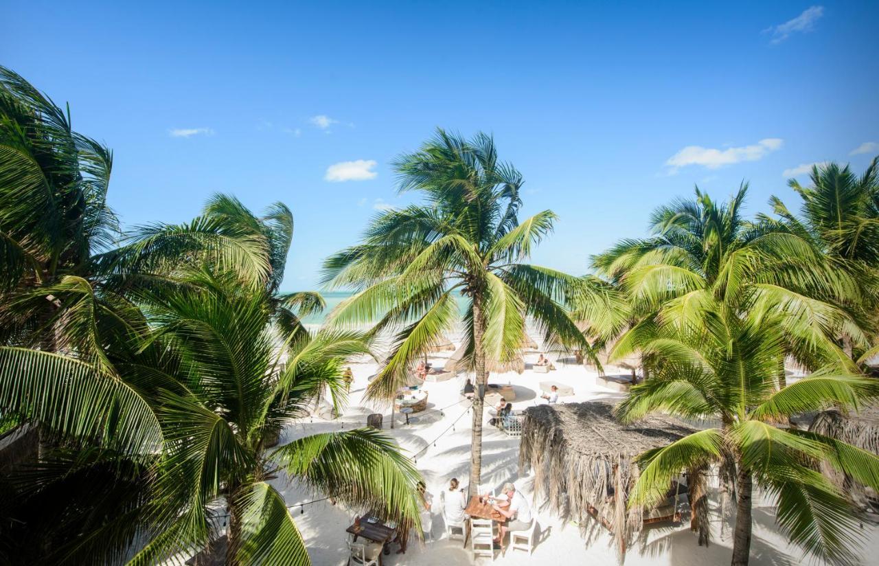 Casa Las Tortugas Petit Beach Hotel & Spa Ilha Holbox Exterior foto