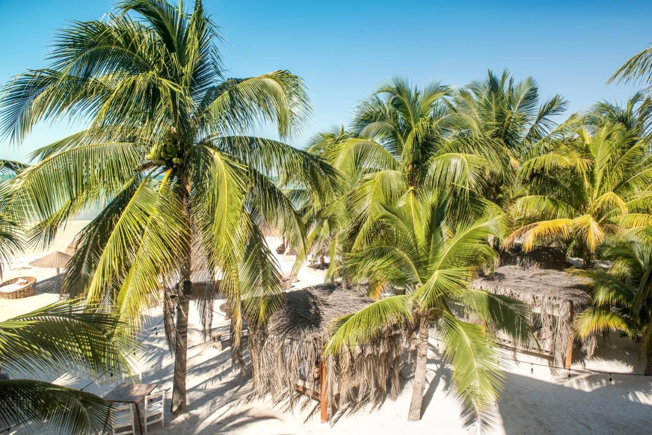 Casa Las Tortugas Petit Beach Hotel & Spa Ilha Holbox Exterior foto
